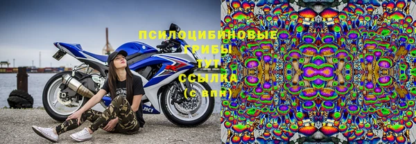 mdpv Горнозаводск
