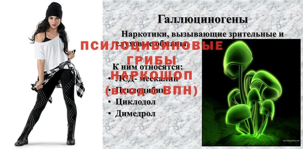 mdpv Горнозаводск