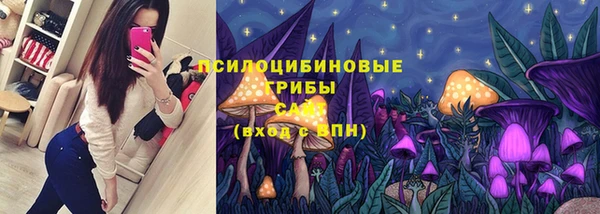 a pvp Горно-Алтайск