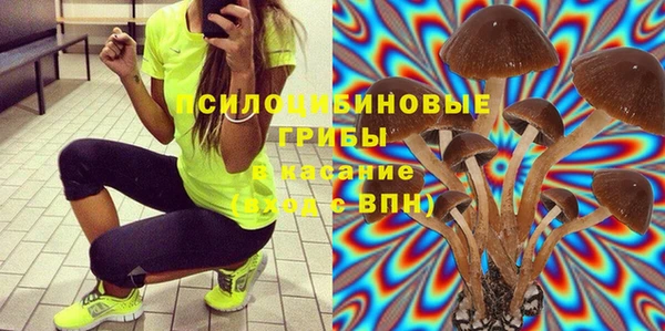 метадон Горняк