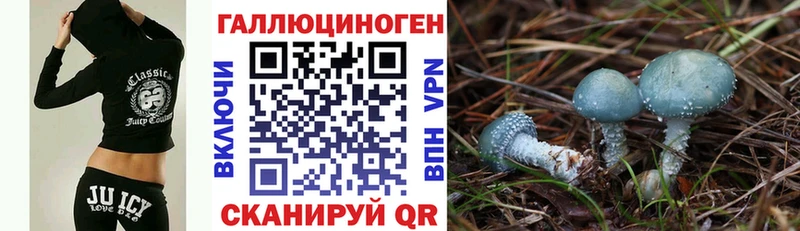 Псилоцибиновые грибы GOLDEN TEACHER  Купить где  Псков 